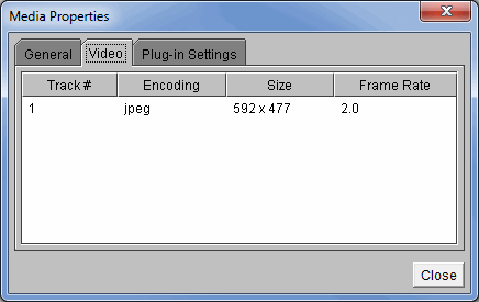 Video tab of the Media Properties window