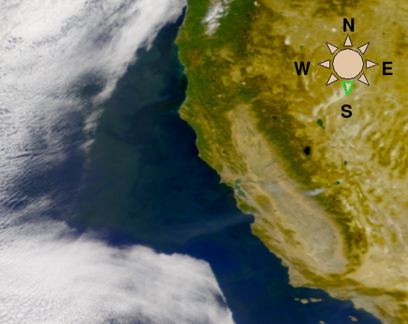 phytoplankton bloom off coast of California